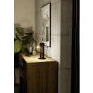 43849 EGLO PLIMSOLL asztali lámpa