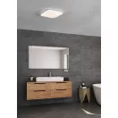 900364 EGLO FRANIA-S 4000K IP44 LED fali-mennyezeti lámpa
