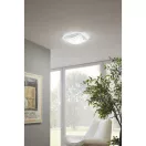 95578 EGLO NERINI LED fali mennyezeti lámpa - OL