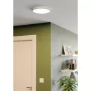 98843 EGLO FUEVA-Z ZigBee 2700K-6500K IP44 LED falon kívüli lámpa