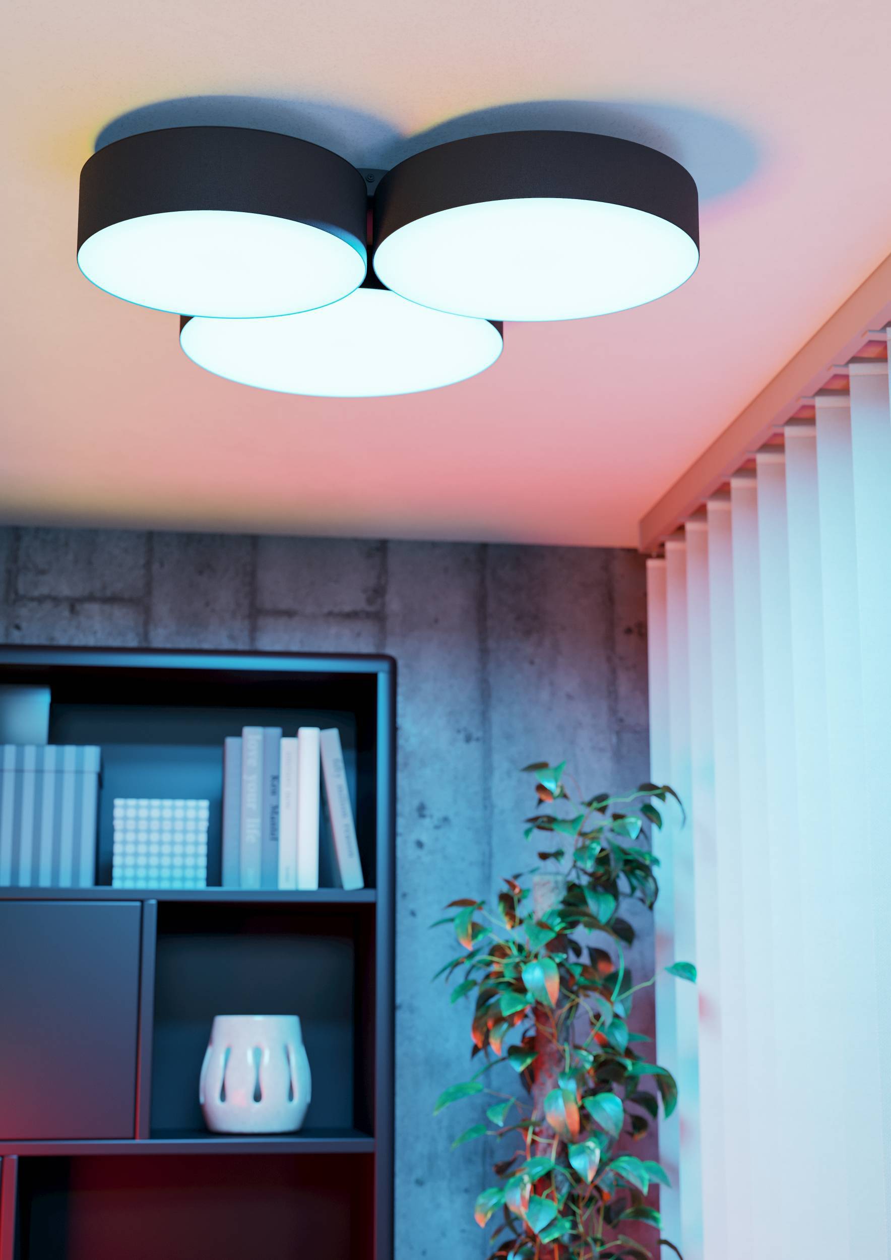 900853 EGLO BARBANO-Z okoslámpa