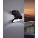 900255 EGLO LAMOZZO 3000-4000-6000K IP54 kültéri LED fali lámpa